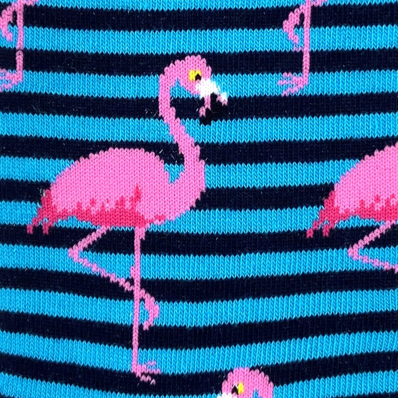 BIRDS OF A FEATHER SOCKS