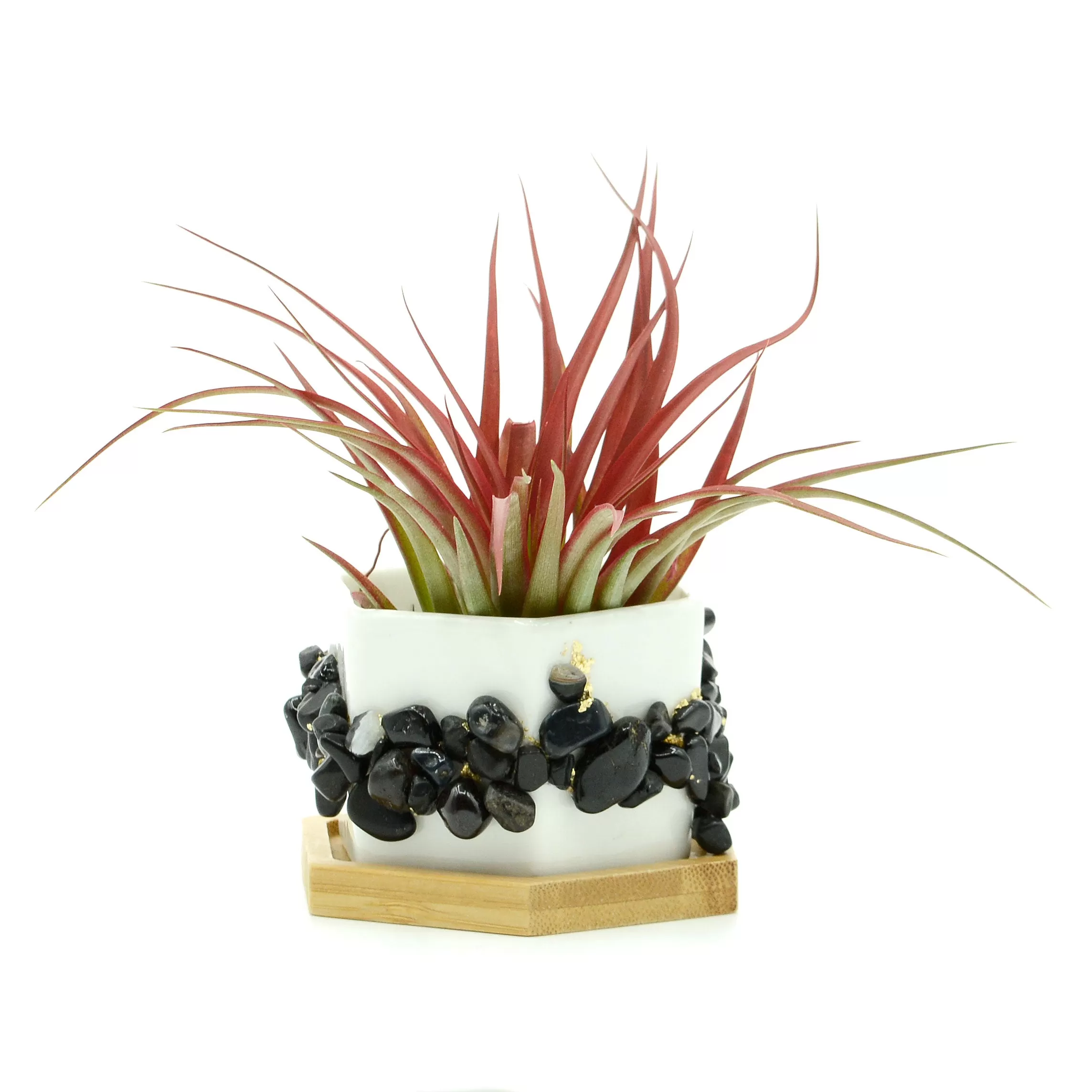 Black Onyx Gemstone Planter   Air Plant