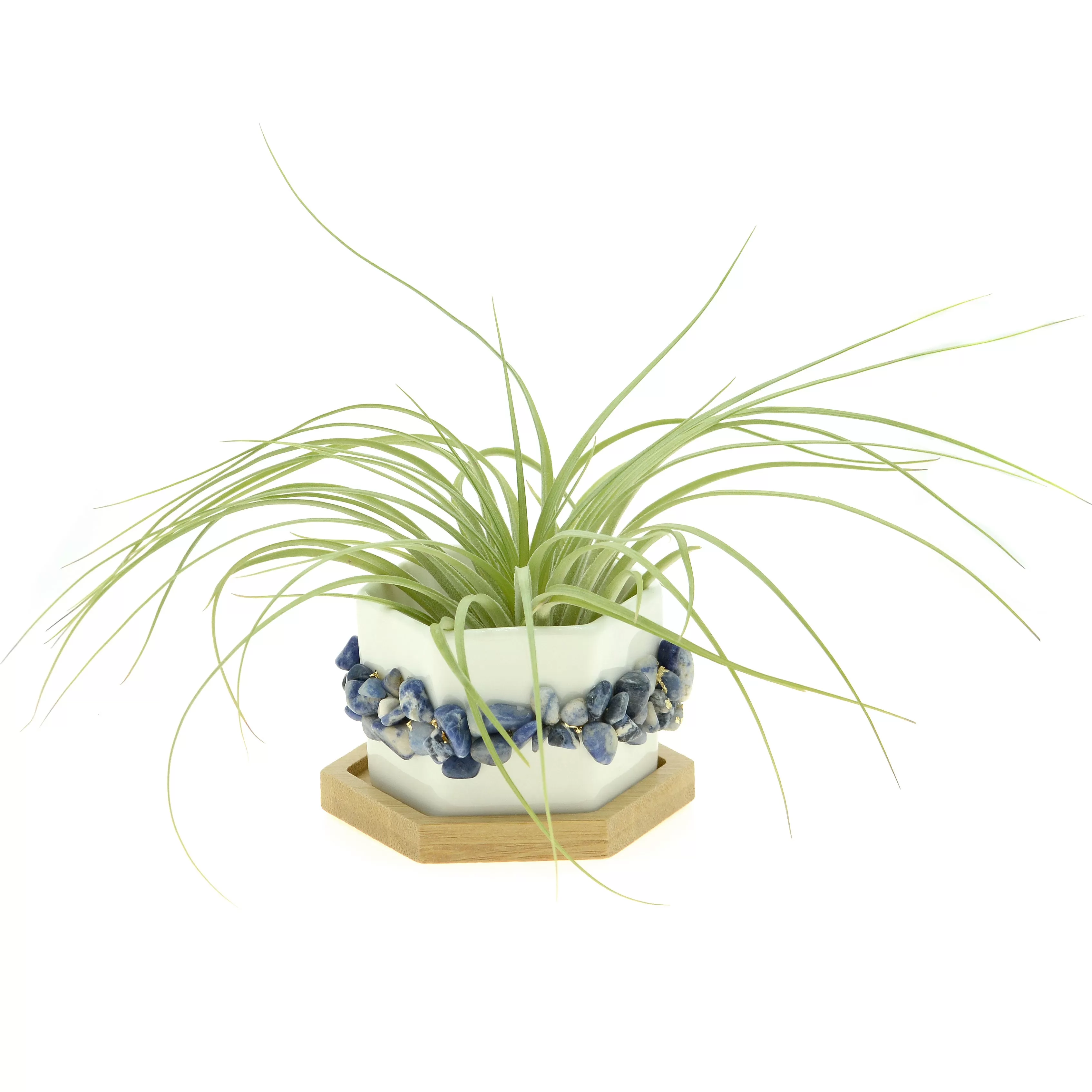 Blue Lapis Lazuli Gemstone Planter   Air Plant