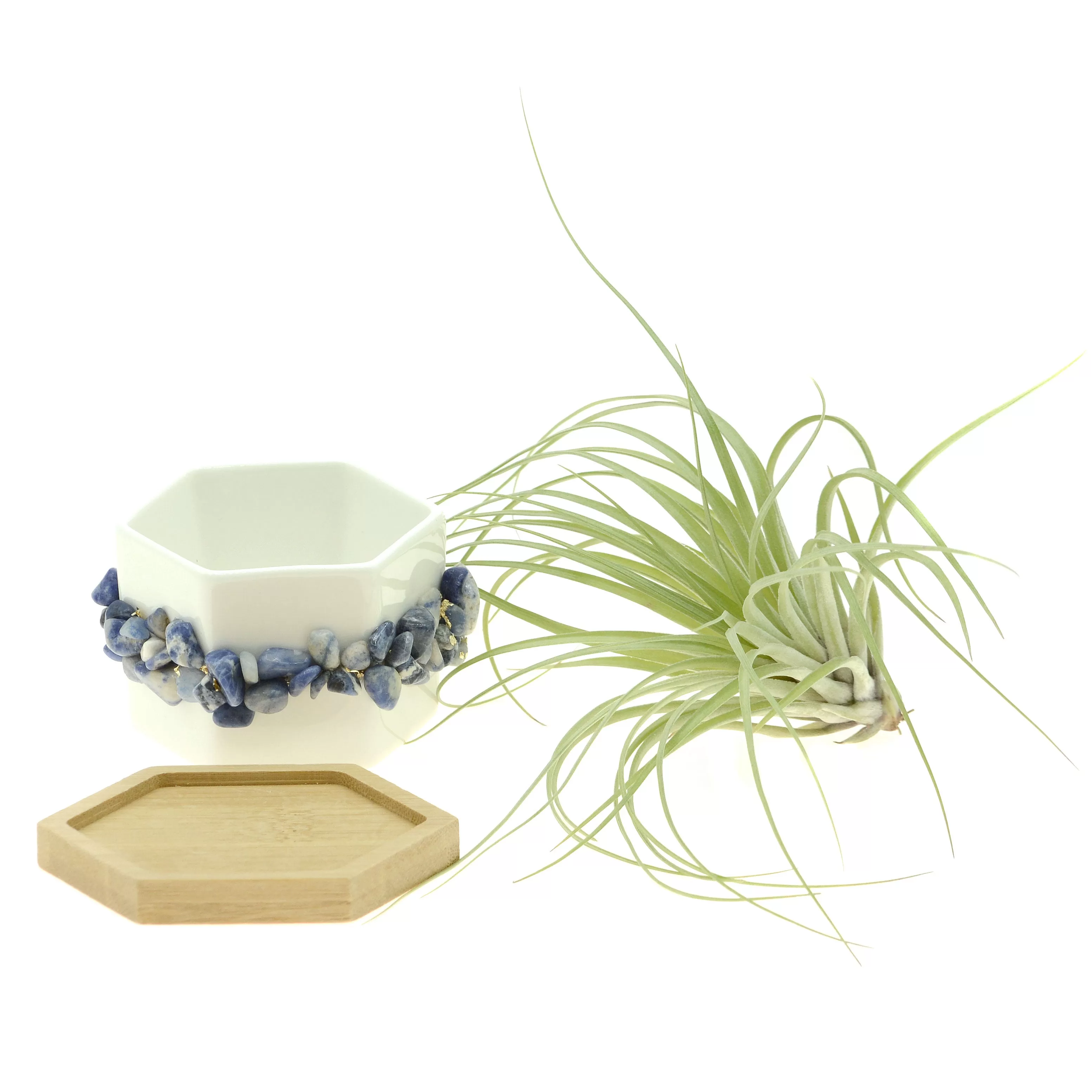 Blue Lapis Lazuli Gemstone Planter   Air Plant