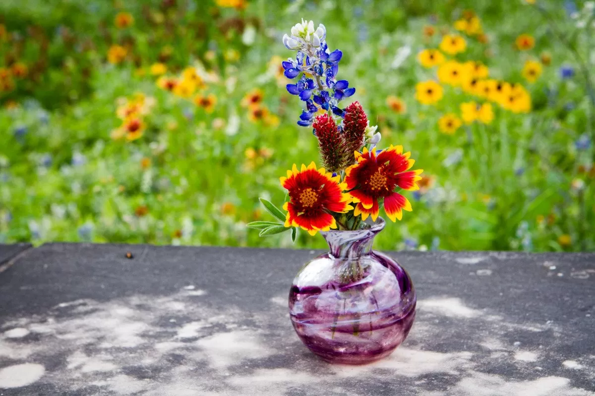 Bud Vase with Cremation Ashes