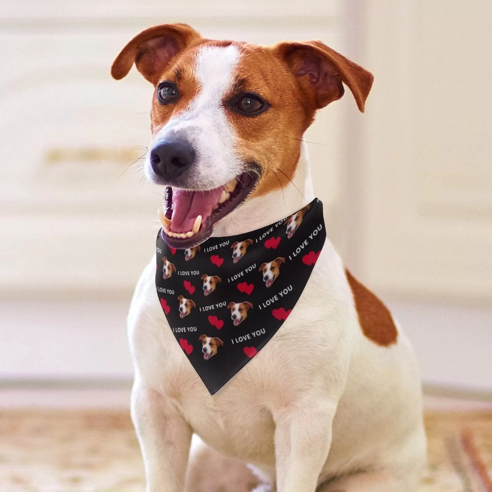 Custom Face Red Heart&I Love You Pajama Pants and Pet Dog Bandana