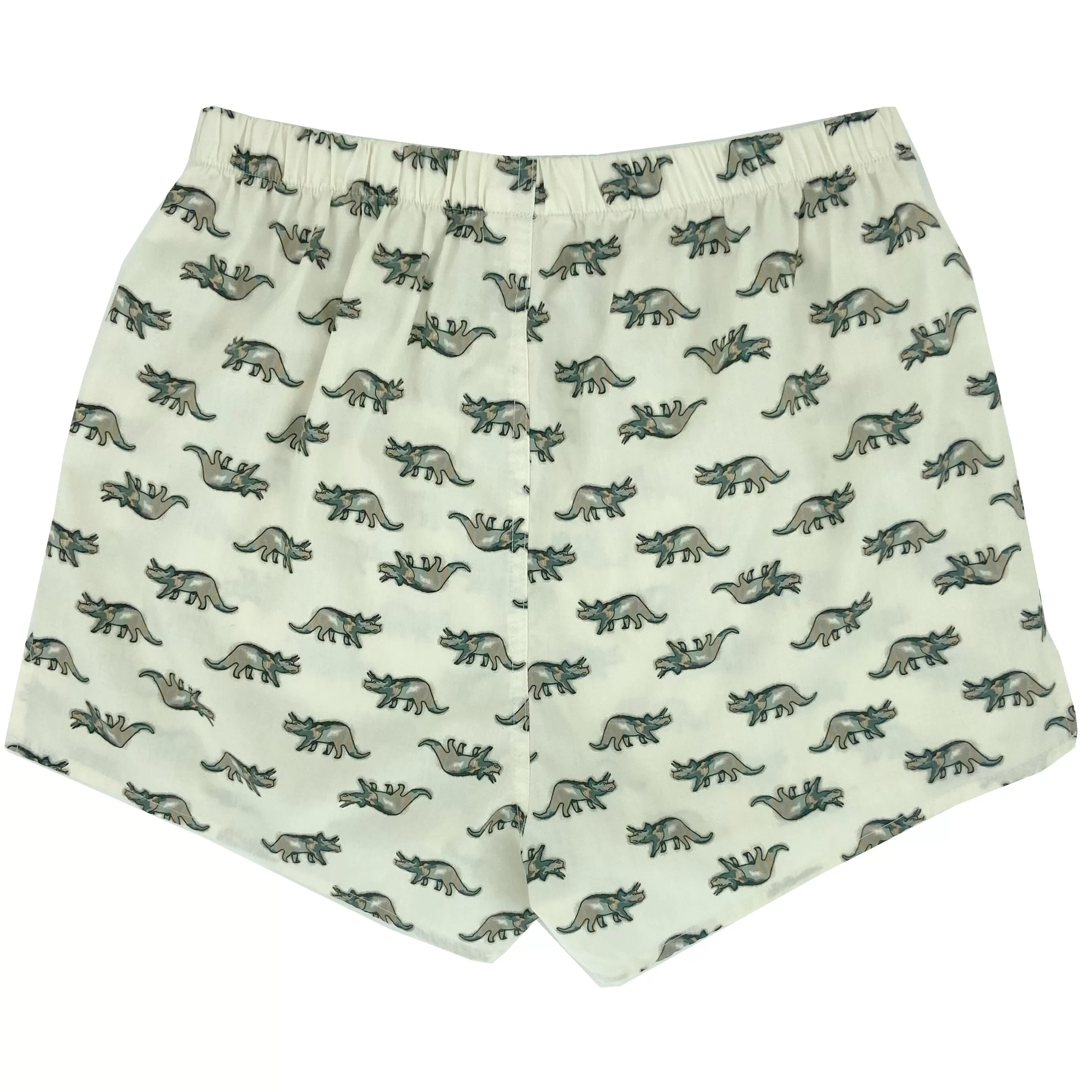 DINO DEFENSE BOXERS