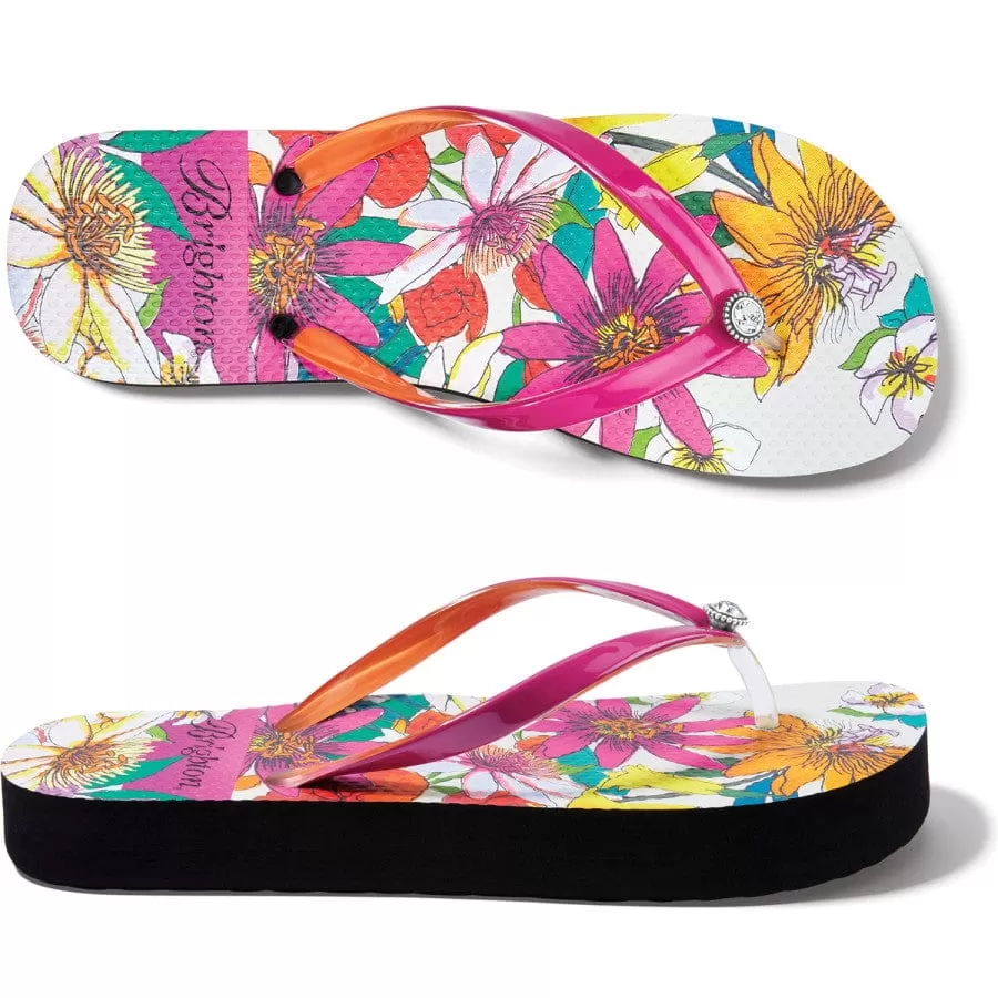 Maui Flip Flops