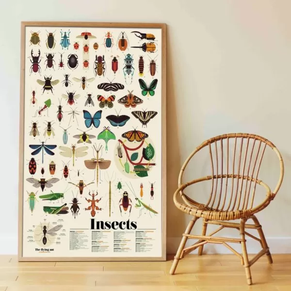 Poppik Discovery Sticker Poster - Insects