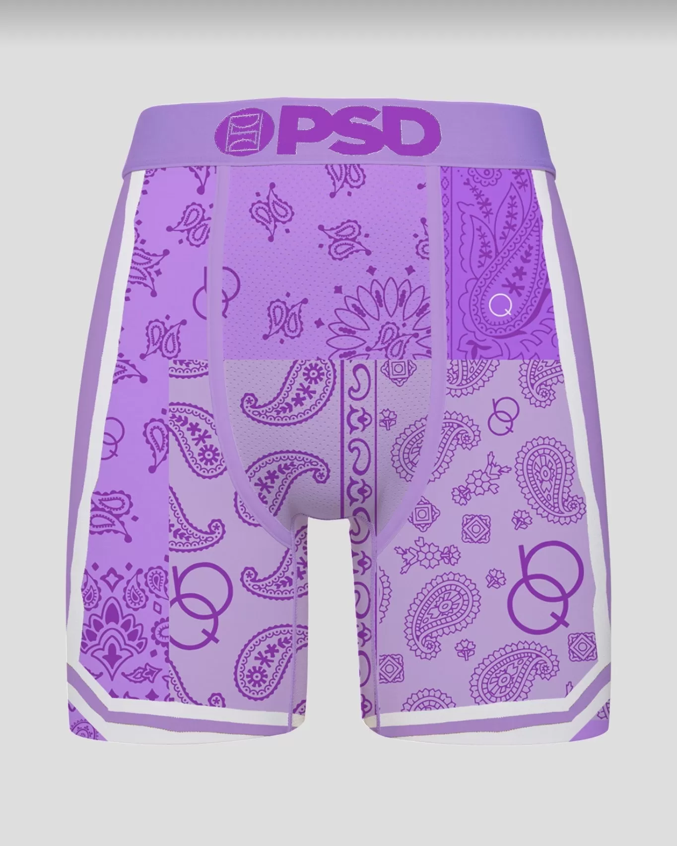 Q Paisley Briefs