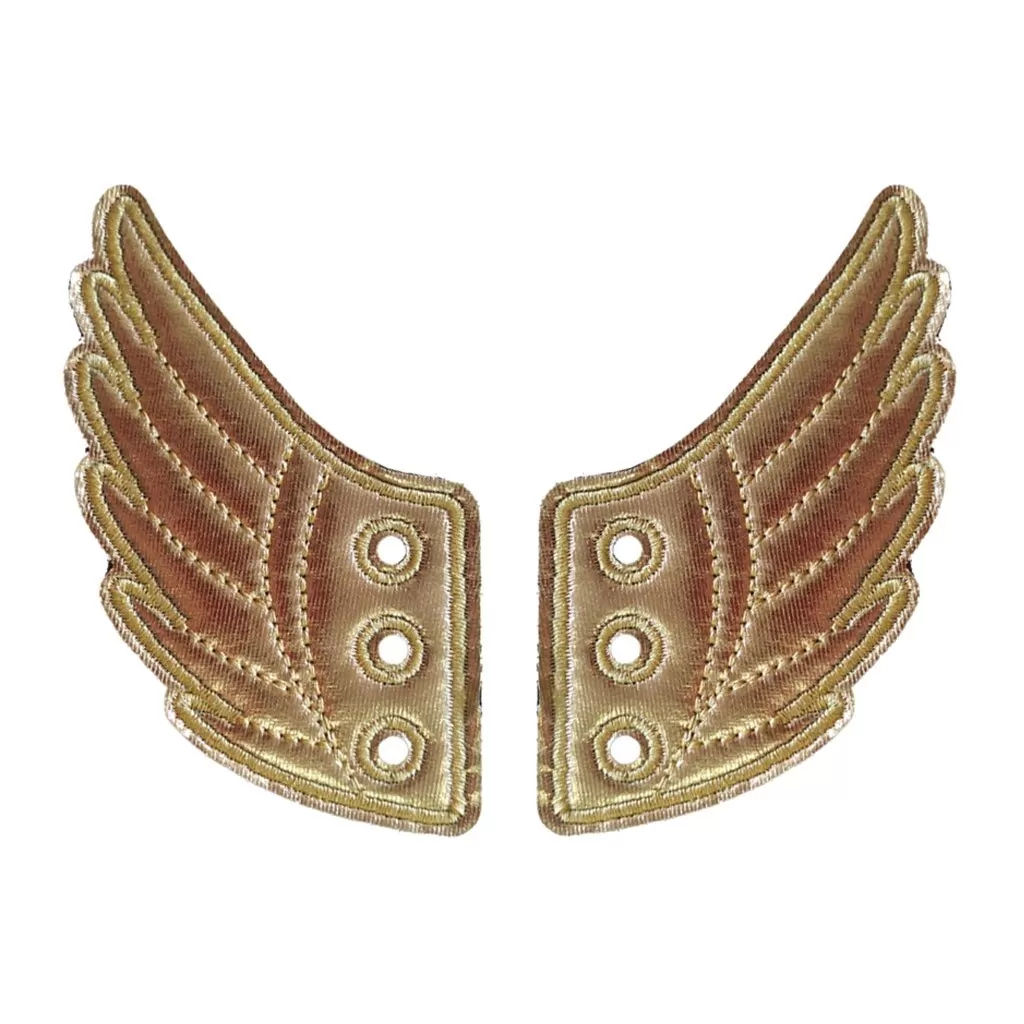 Spring Charm Wings For Sneakers