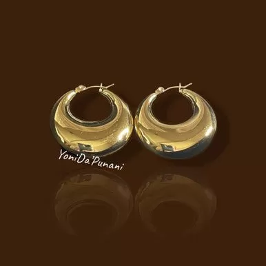 Stainless Steel Gold Color Shine Pair RIRI Earrings Jewelry