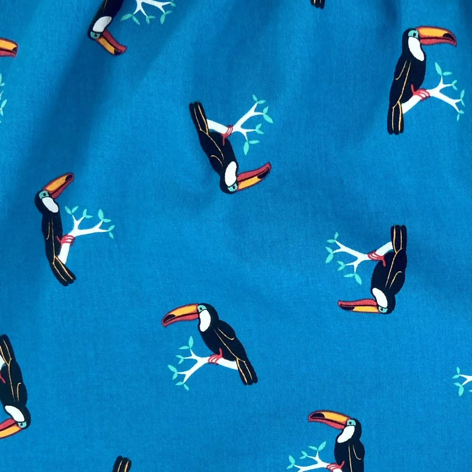 TOUCAN TANGO TRUNKS